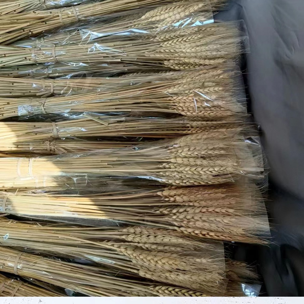 Dried Flower Bulk - 50 Stück Künstliche Blumen Natürliche Getrocknete