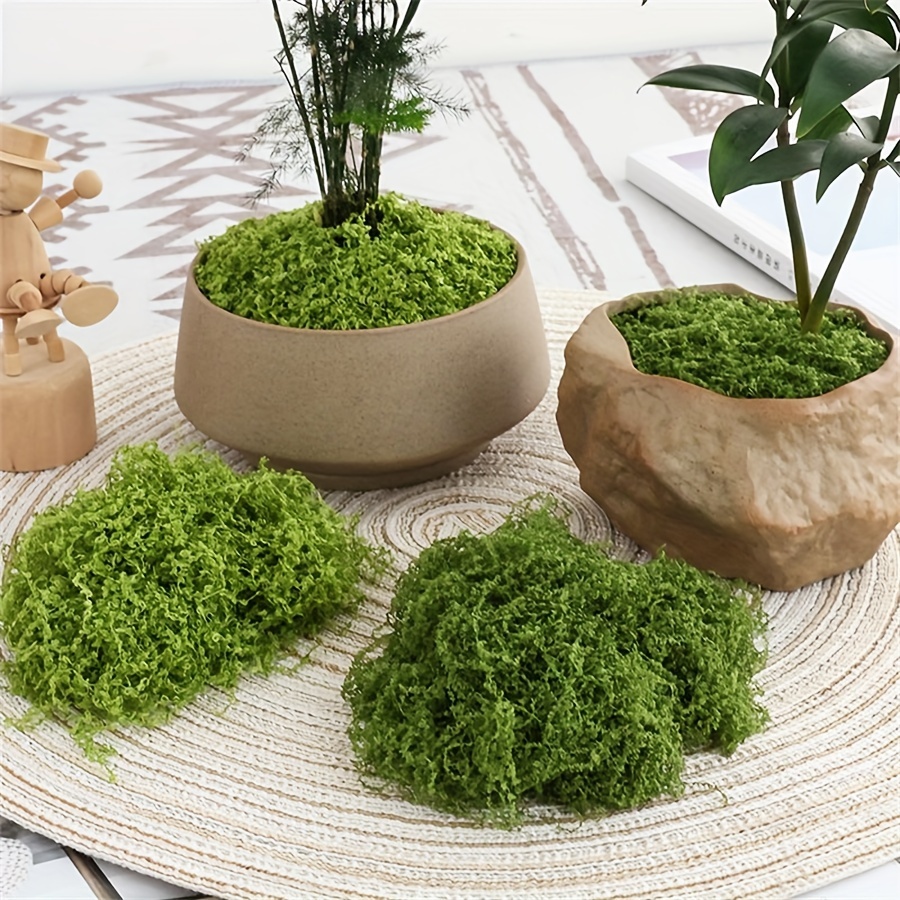 Terrarium Moss Art - 1 Packung künstliches Kunstmoos, 1,05 Unzen