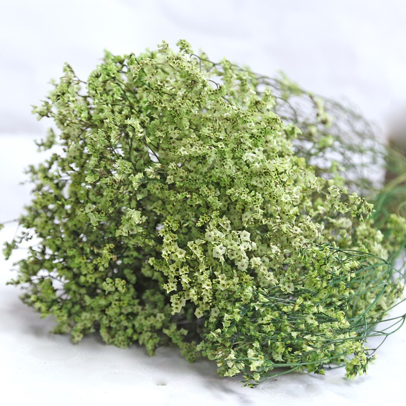 Dried Flower Bulk - Natürliche Frische Getrocknete Konservierte Blumen Kristall