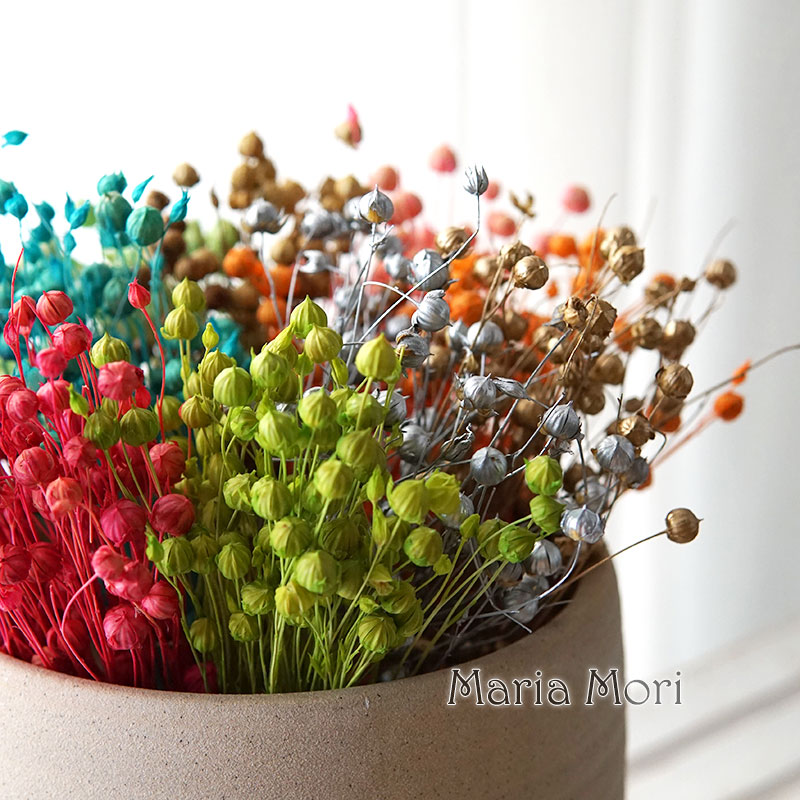 Dried Flower Bulk - 5 g konservierte Flachsbohnen, natürliche echte