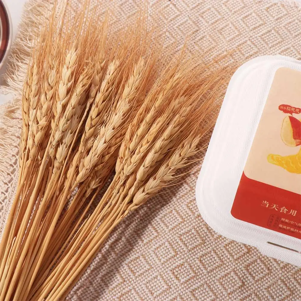 50 Stück Künstliche Blumen Nat – Dried Flower Bulk Bewertung und Preis