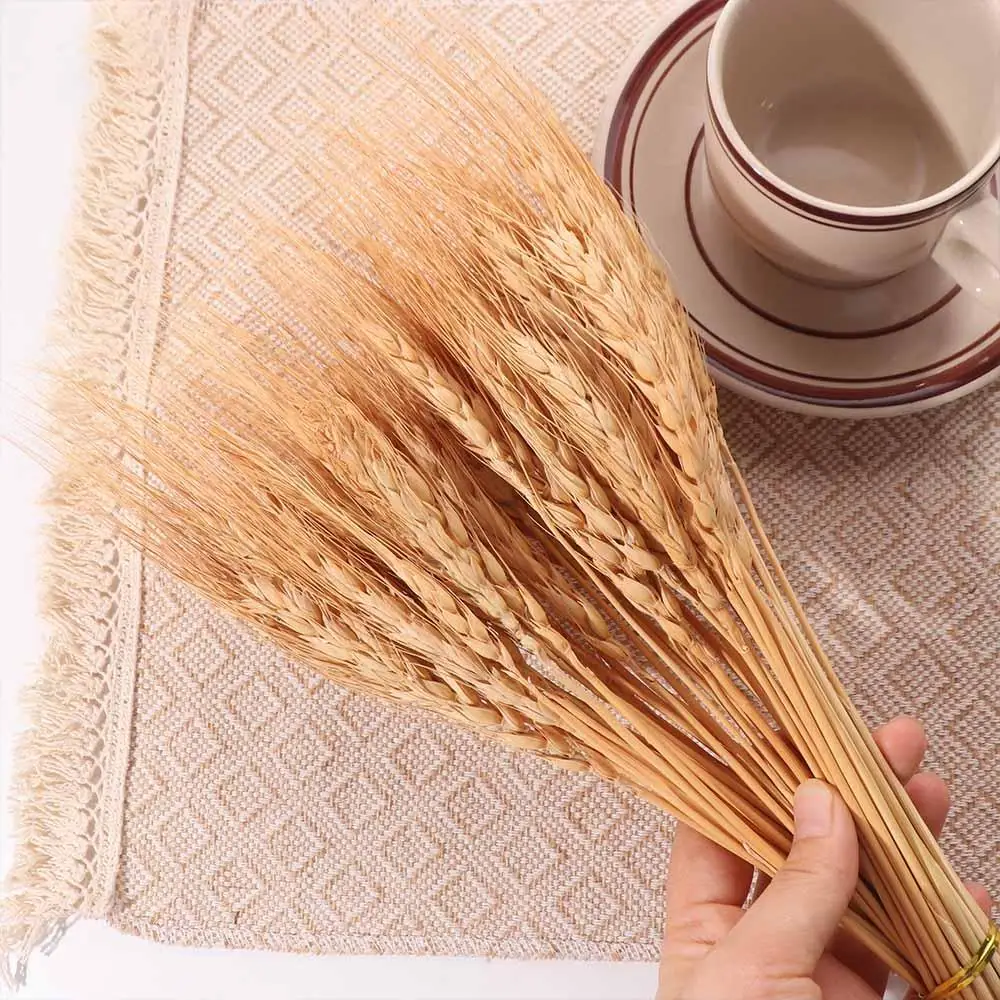 50 Stück Künstliche Blumen Nat – Dried Flower Bulk Bewertung und Preis