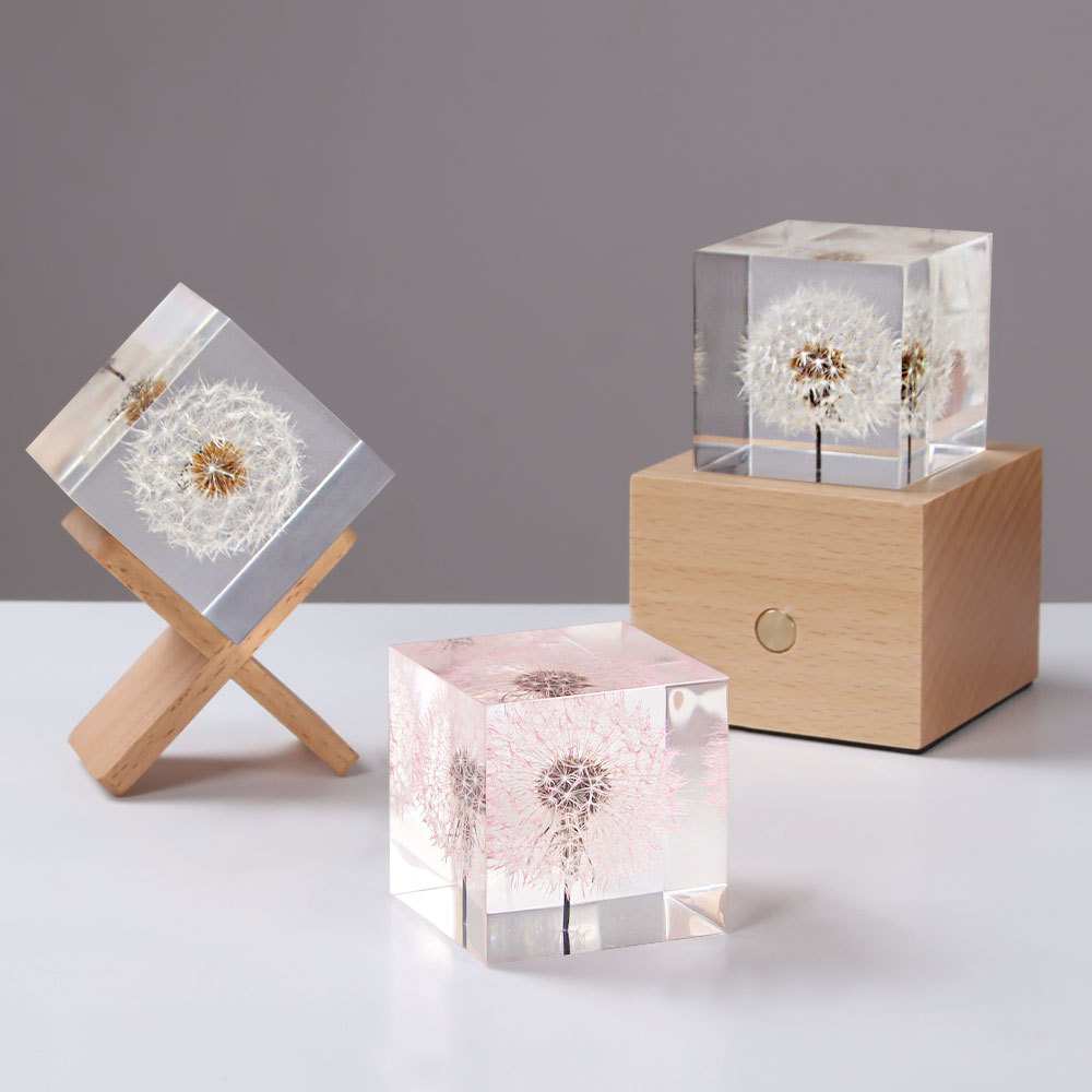 Löwenzahn konservierte frische – Flower Preservation Resin Bewertung und Preis