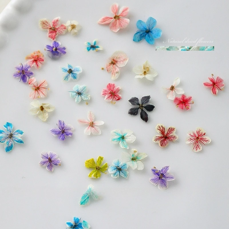 1PCS Sommer Gradienten Floral  – Dried Flower Bulk Bewertung und Preis