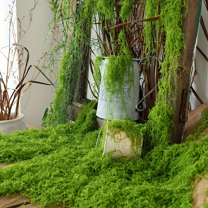 1 Packung künstliches Kunstmoo – Terrarium Moss Art Bewertung und Preis