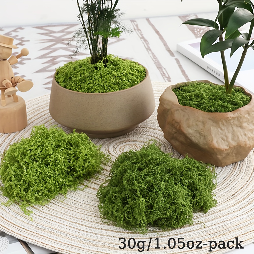 1 Packung künstliches Kunstmoo – Terrarium Moss Art Bewertung und Preis