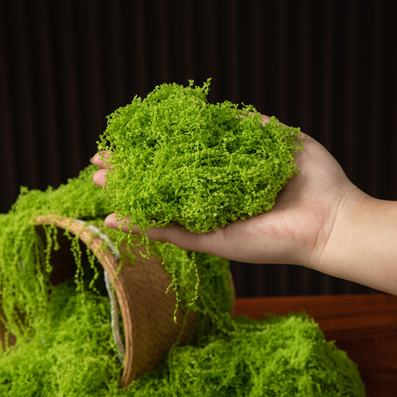 200g Ewiges Leben Moos DIY Bas – Terrarium Moss Art Bewertung und Preis