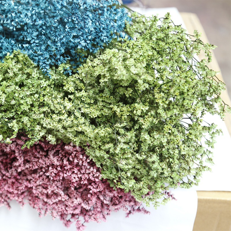 Natürliche Frische Getrocknete – Dried Flower Bulk Bewertung und Preis