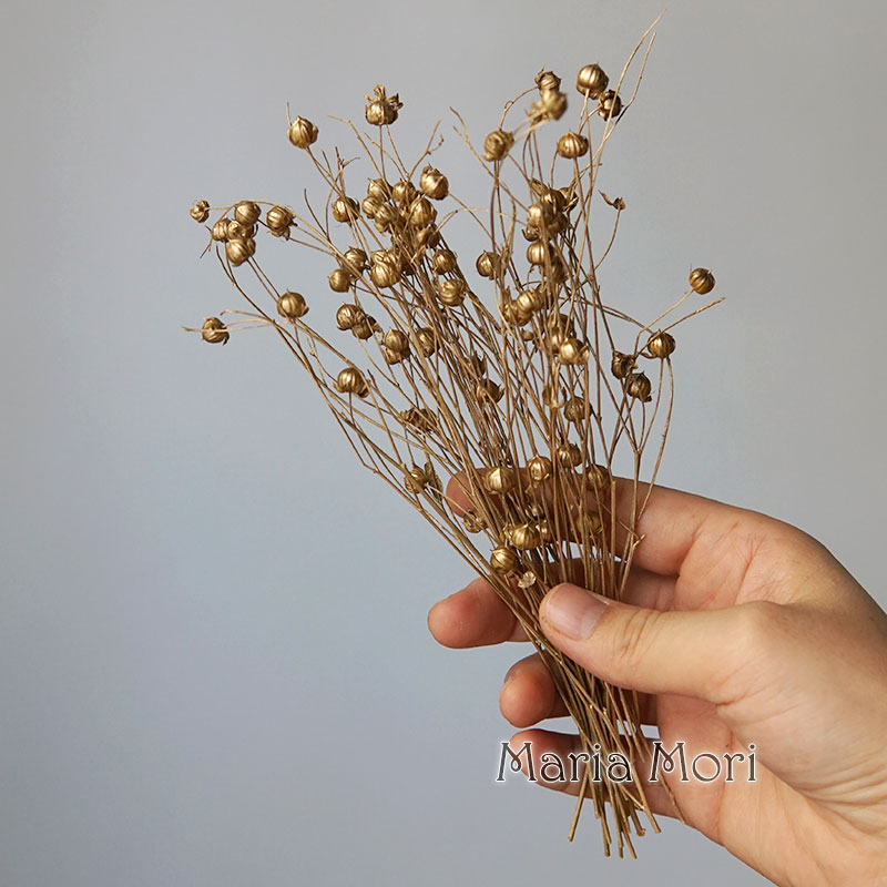 5 g konservierte Flachsbohnen, – Dried Flower Bulk Bewertung und Preis