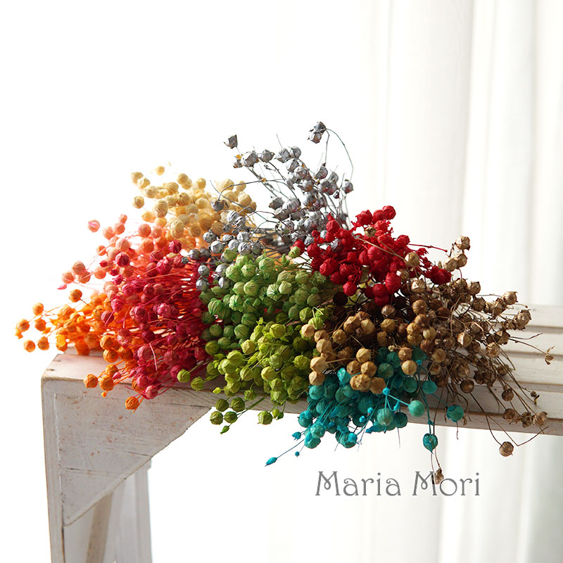 5 g konservierte Flachsbohnen, – Dried Flower Bulk Bewertung und Preis