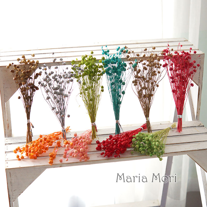 5 g konservierte Flachsbohnen, – Dried Flower Bulk Bewertung und Preis