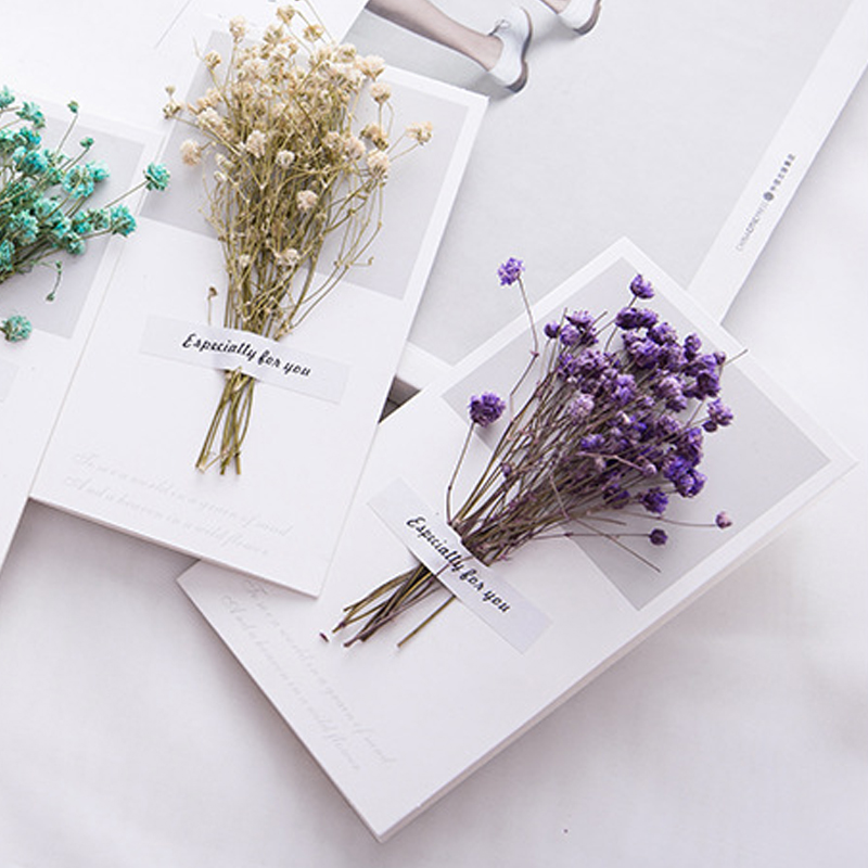 10 stücke EIN Geschenk Karte H – Dried Flower Bulk Bewertung und Preis