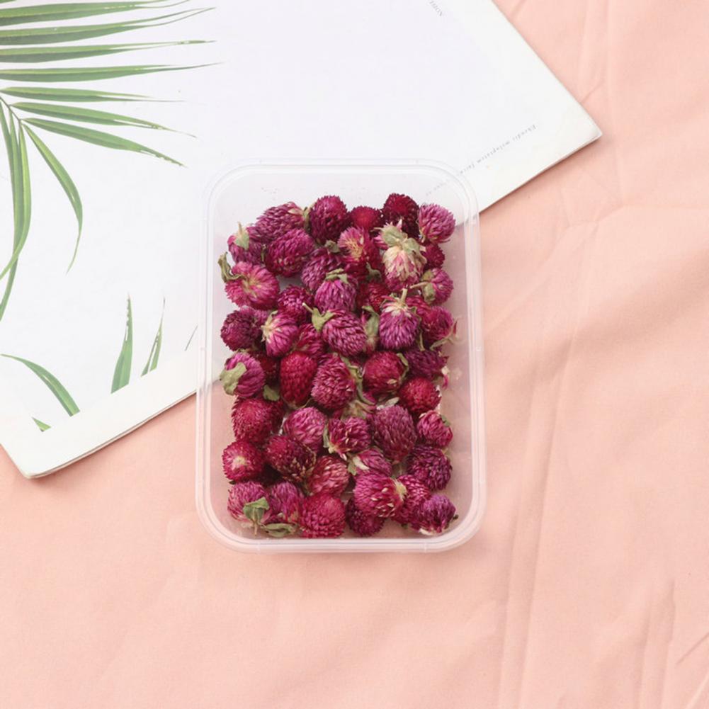 Natürliche Blumen DIY getrockn – Dried Flower Bulk Bewertung und Preis