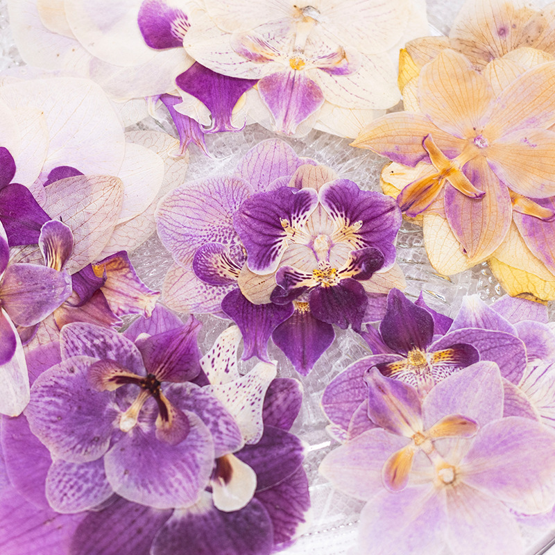 4 Stück Gepresste Getrocknete  – Dried Flower Bulk Bewertung und Preis