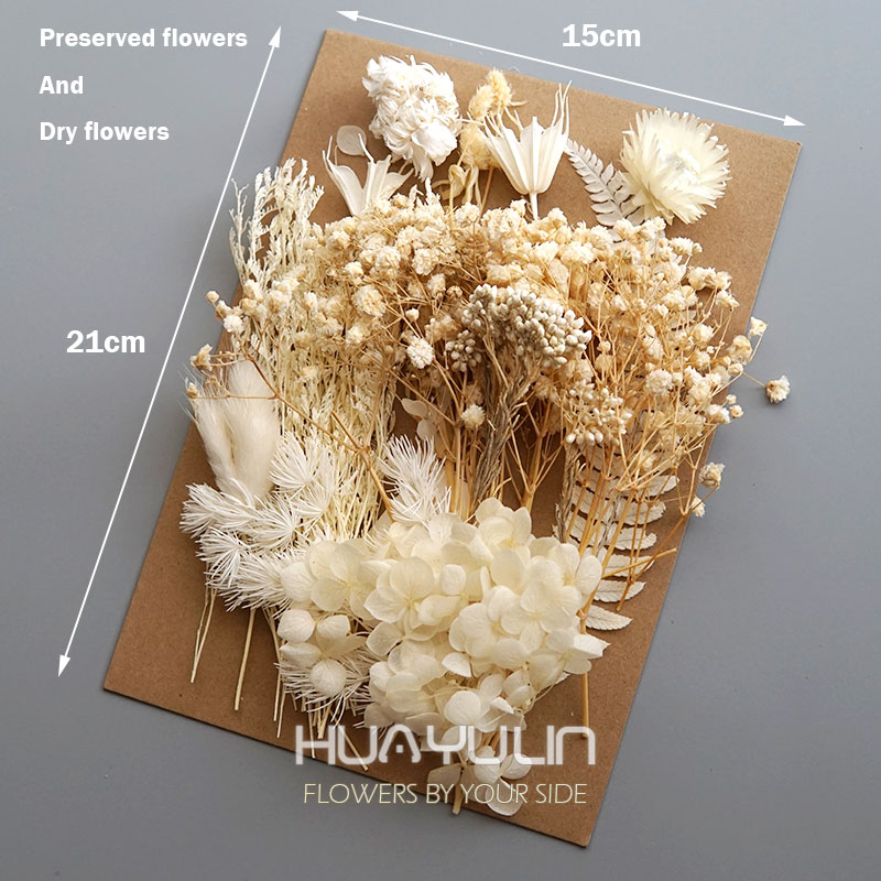 1 Packung künstliche Pflanzen, – Flower Preservation Resin Bewertung und Preis