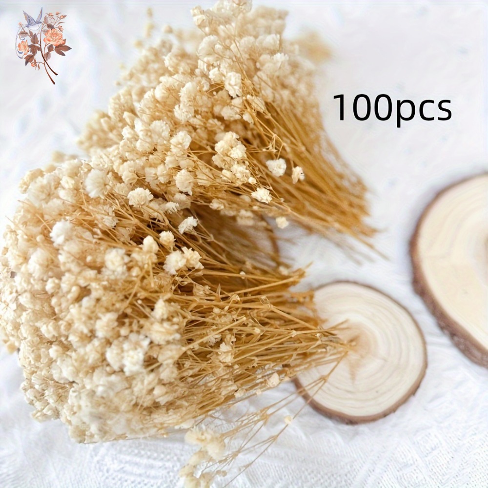 100 Stück Mini Getrocknete Sch – Dried Flower Bulk Bewertung und Preis