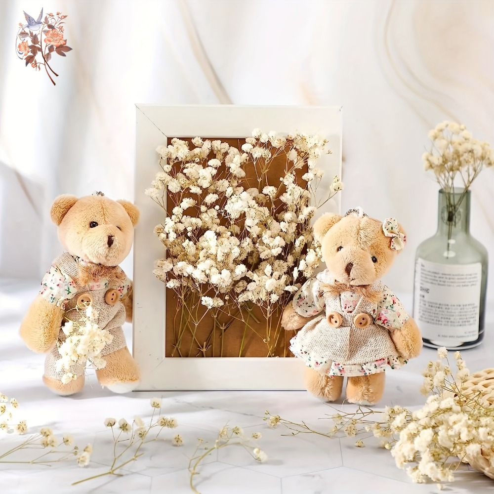 100 Stück Mini Getrocknete Sch – Dried Flower Bulk Bewertung und Preis